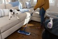 Pet System Wood Floor Deep Cleaner Spray